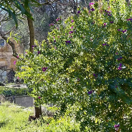 Host4u - Cozy Escape In Trincheri, Relais Limone شقة *
