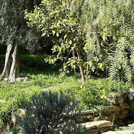 Διαμέρισμα Host4u - Cozy Escape In Trincheri, Relais Limone